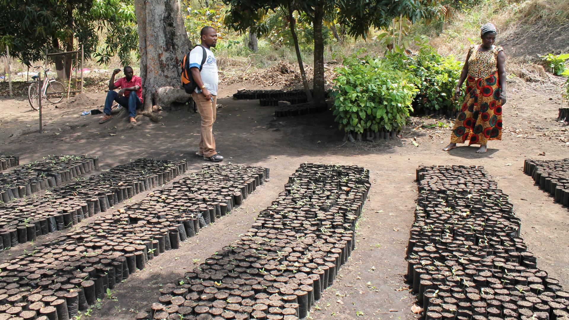 Mazingira Association 4